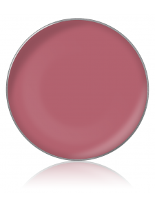 Lip gloss color №43 (lip gloss in refills), diam. 26 cm, KODI